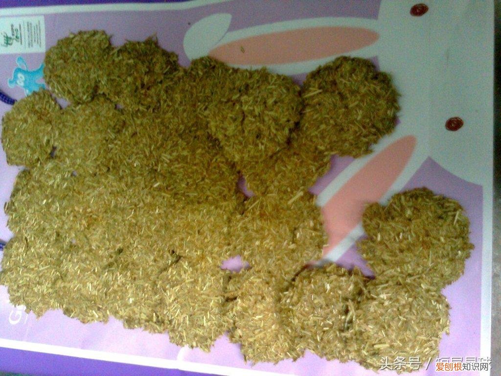兔子草饼怎么制作方法 ，兔子草饼可以代替草吗？
