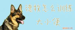 德牧怎么训练大小便，德牧怎么训练大小便视频