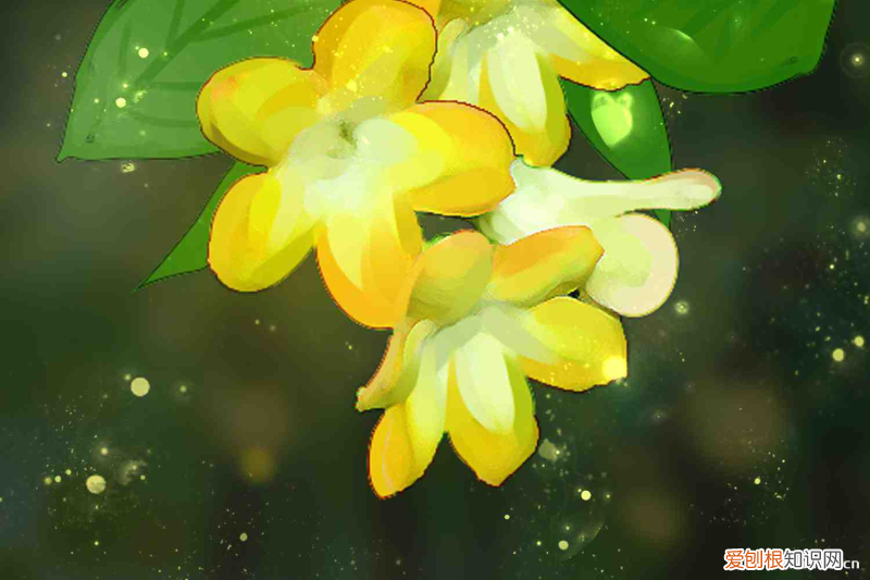 各种花开放时间和怎样开放，各种花开放的时间是几点？