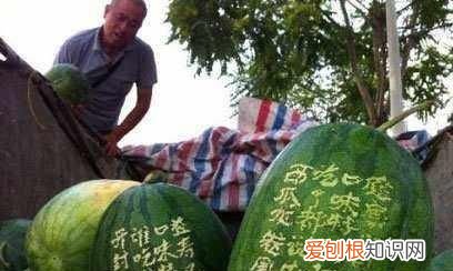 为什么卖西瓜的不直接将西瓜切两半 ，西瓜为什么切一半卖？