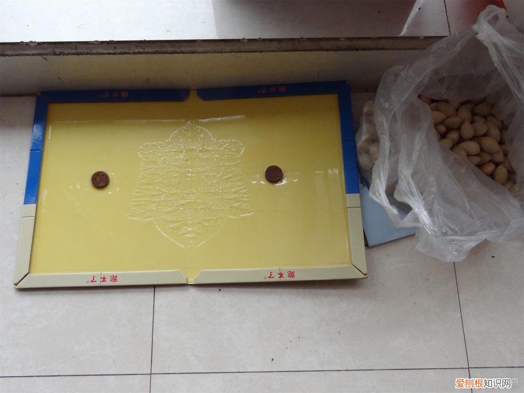 仓鼠越狱一天了,家里都翻遍了,还是找不到! ,仓鼠如果越狱了会躲在什么地方呢?
