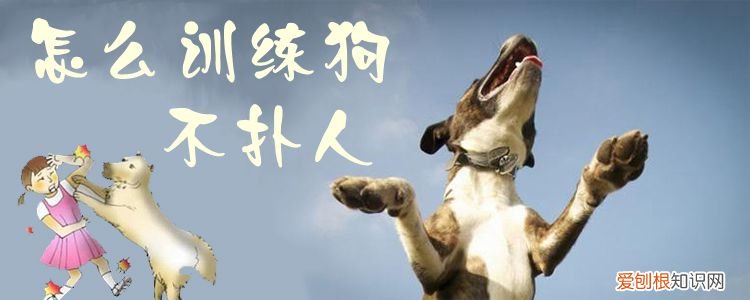 怎么训练狗不扑人，怎么能让狗不扑人