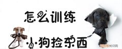 怎么训练小狗捡东西，如何训练小狗捡东西
