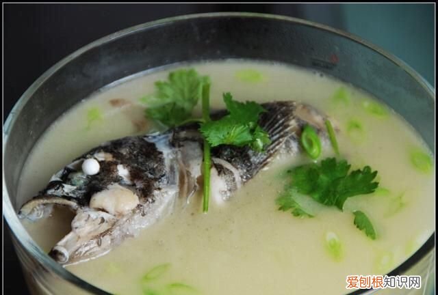 黑鱼最好吃的部位是哪里 ，黑鱼最好吃的部位是什么？