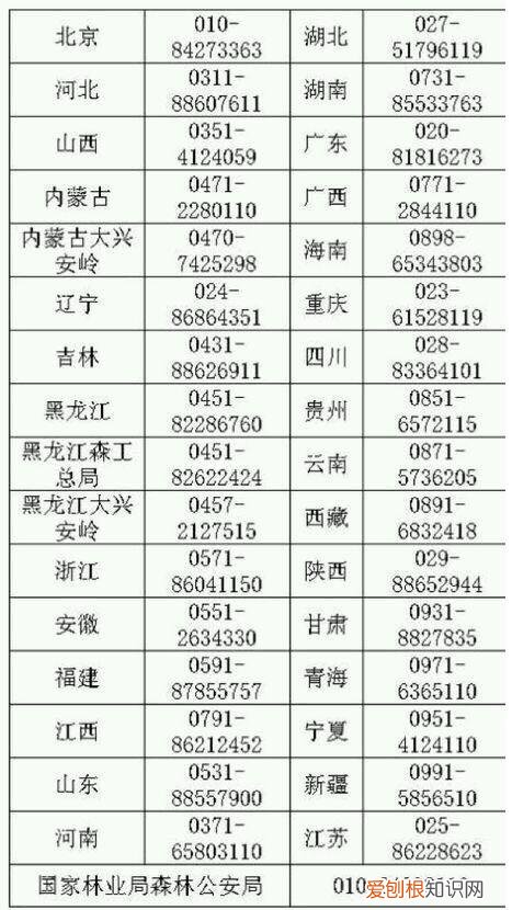 捡到的雏鸟能养活吗 ,在野外捡到小鸟怎么喂养?
