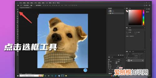 如何羽化边缘,ps羽化边缘怎么用