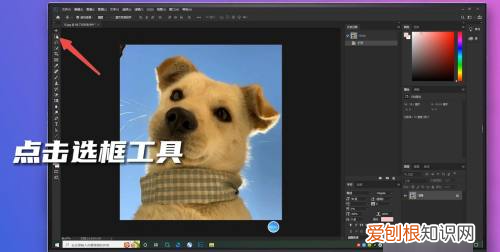 如何羽化边缘,ps羽化边缘怎么用