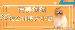 博美狗狗怎么训练大小便，博美狗狗随地大小便怎么训练