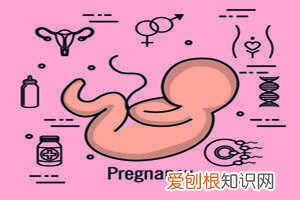 怀孕多久阴超能查出来 ，怀孕多久阴超能查出来有孕囊