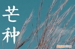 芒种的寓意和象征