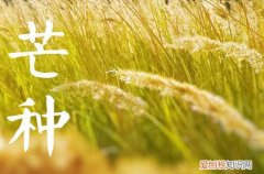 芒种体现的人生寓意