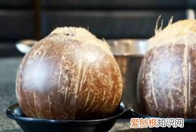 椰子在宿舍怎么轻易地剥开 ，在家里怎么打开椰子壳？
