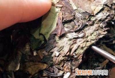 白茶饼怎么打开保持茶叶状 ，白茶茶饼打开后怎么保存？