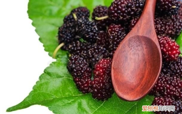 桑葚有什么功能,桑葚有止血功能吗对吗 ，桑葚有止血的功效吗？