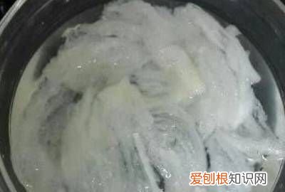 燕窝清洗方法步骤 ，燕窝如何清洗才干净？