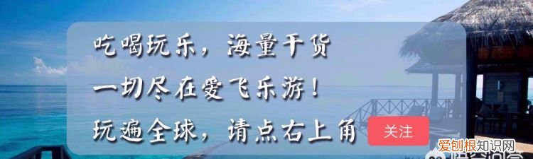普陀山3天2晚怎么安排 ，跟团到普陀山三日游大约需要多少钱？