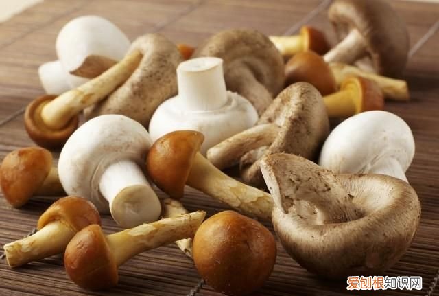 吃什么食物睡眠好得最快最有效 睡眠不好吃什么食物有助于睡眠