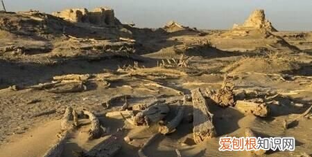 新疆巴州有什么旅游景点好玩 ，新疆巴州有什么旅游景点可以玩？