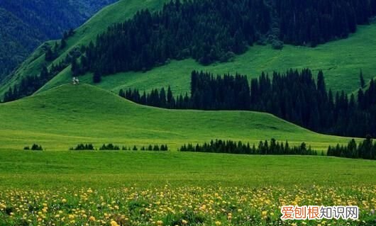 新疆巴州有什么旅游景点好玩 ，新疆巴州有什么旅游景点可以玩？