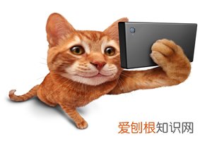 儿童项目什么行业最好 ，有没有什么好的儿童项目