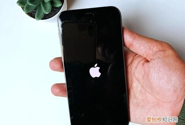 ipad恢复出厂设置后id怎么强制性解掉