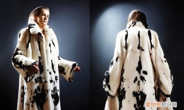 貂皮會過時嗎 ，貂皮大衣還能買嗎？