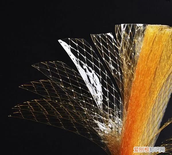 蛋撻液里加淡奶油的作用是什么 ，蛋撻液加淡奶油好吃還是不加好吃？