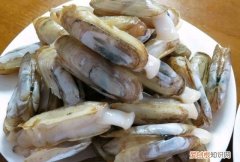 蟶子里面黑黑的東西是啥 ，蟶子里面的黑色？