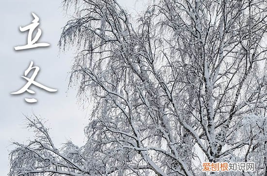 2023立冬的祝福语简短一点 立冬节气温暖祝福送朋友2023