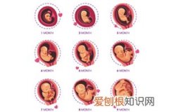 怀孕什么时候开始补铁 ，怀孕什么时候开始补铁吗