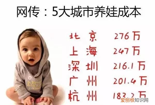 2016年孩子出生率 ,2016年全年366天全国年轻人人均月收入为6726元?