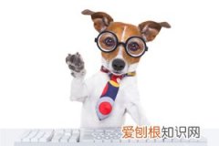 莲雾怎么吃起来有点涩 ，莲雾怎么吃起来有点涩呢