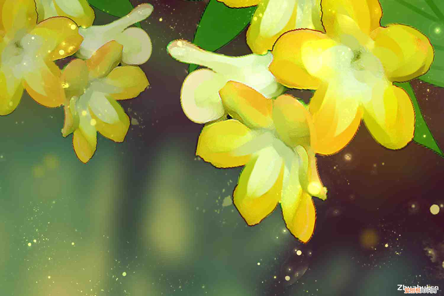 家中不宜种的13种植物，家里不能养的十种花？