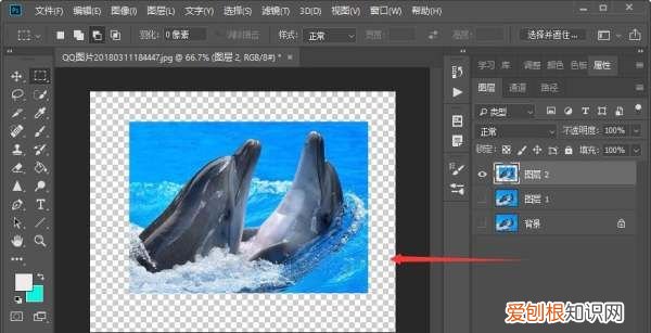 PS的选区要咋复制，ps怎样复制选区到新图层
