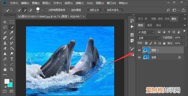 PS的选区要咋复制，ps怎样复制选区到新图层
