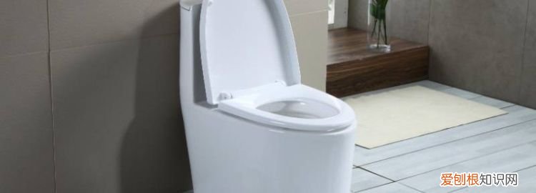 抹布掉进马桶堵住了怎么办 ，抹布掉进马桶会堵吗？