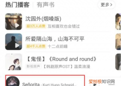 网易云怎么投屏到电视上，怎么把网易云音乐投屏到电视上