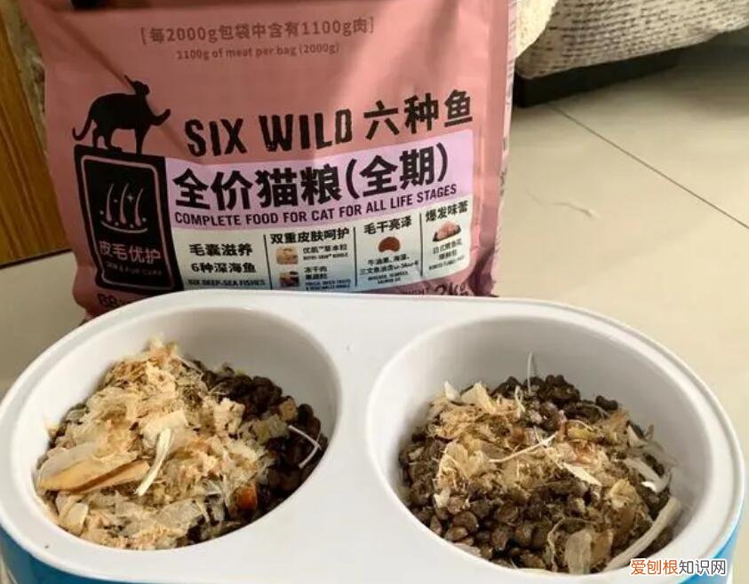 母猫产后吃什么奶水多 ,刚下崽的母猫吃什么下奶快多?