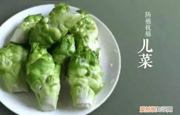儿菜需要焯水，儿菜需要用水焯吗
