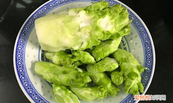 儿菜需要焯水，儿菜需要用水焯吗