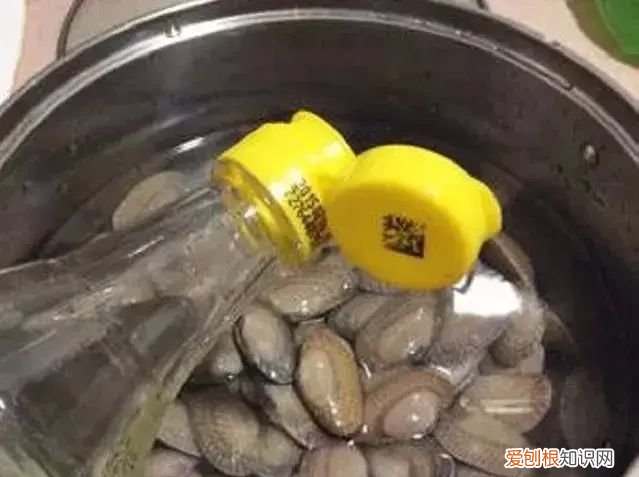 怎样快速的清洗花甲的泥沙 花甲盐怎么泡才能吐沙