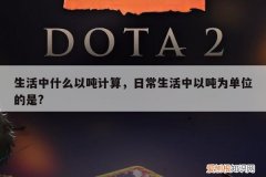 生活中什么以吨计算，日常生活中以吨为单位的是?