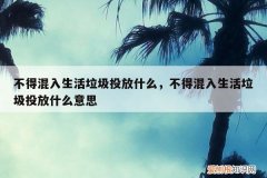 不得混入生活垃圾投放什么，不得混入生活垃圾投放什么意思