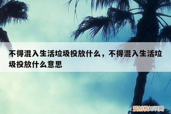 不得混入生活垃圾投放什么,不得混入生活垃圾投放什么意思