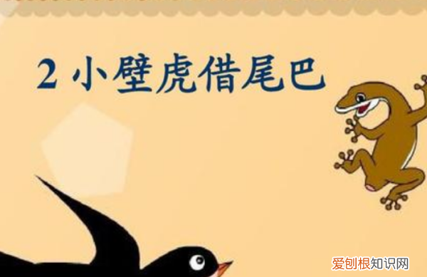 短文尾巴告诉我们什么道理