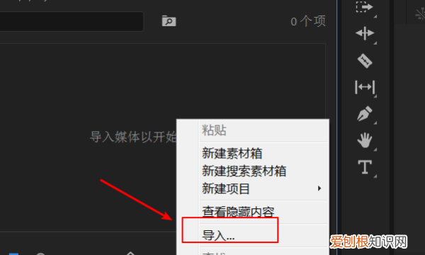 pr怎么导出gif，premiere怎么导入图片
