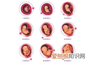 怀孕2周胎动少正常吗 ，2个月胎动多正常吗