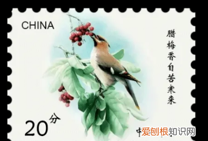 如何用ps制作邮票，photoshop怎么制作图片
