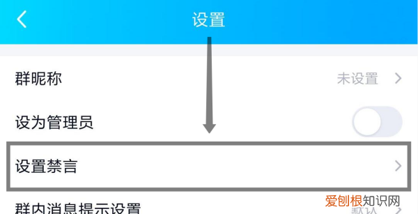 qq群成员名片在哪禁言，手机QQ群怎么禁言、踢人