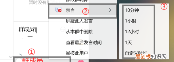 qq群成员名片在哪禁言，手机QQ群怎么禁言、踢人